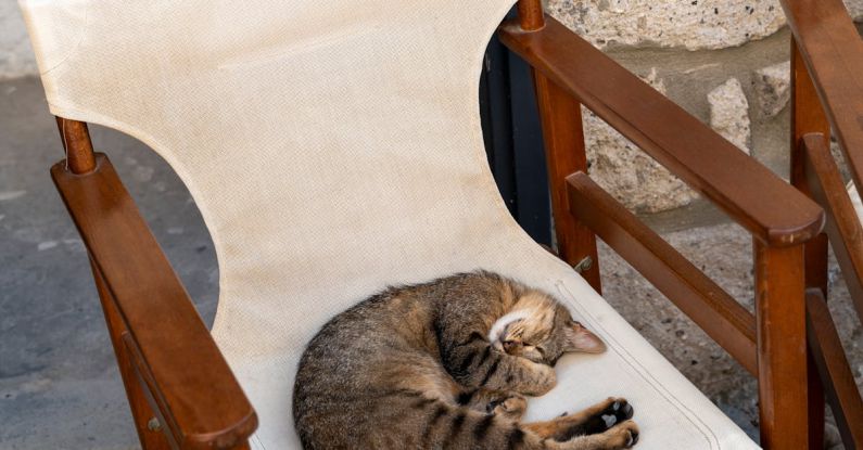 Sleep Remedies - Cat Sleeping on an Old Armchair